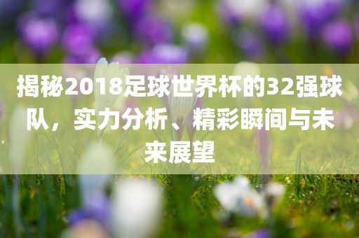 揭秘2018足球世界杯的32强球队，实力分析、精彩瞬间与未来展望眉山市正发家政服务有限公司
