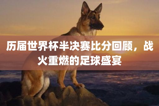 历届世界杯半决赛比分回顾，战火重燃的足球盛宴