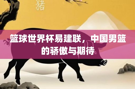 篮球世界杯易建联，中国男篮的骄傲与期待眉山市正发家政服务有限公司