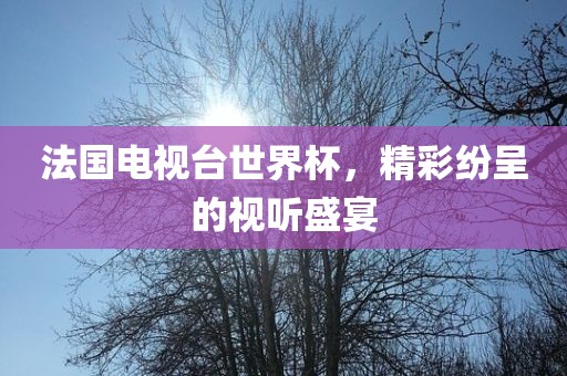 法国电视台世界杯，精彩纷呈的视听盛宴眉山市正发家政服务有限公司