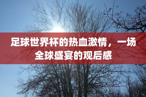 足球世界杯的热血激情，一场全球盛宴的观后感
