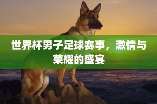 激情与荣耀 第11页
