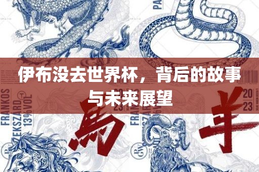 伊布没去世界杯，背后的故事与未来展望眉山市正发家政服务有限公司