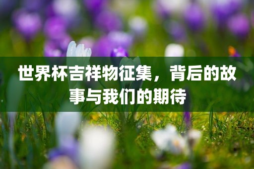 世界杯吉祥物征集，背后的故事与我们的期待眉山市正发家政服务有限公司