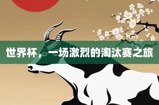 世界杯，一场激烈的淘汰赛之旅眉山市正发家政服务有限公司