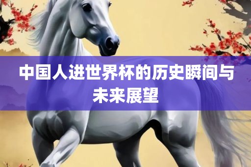 中国人进世界杯的历史瞬间与未来展望