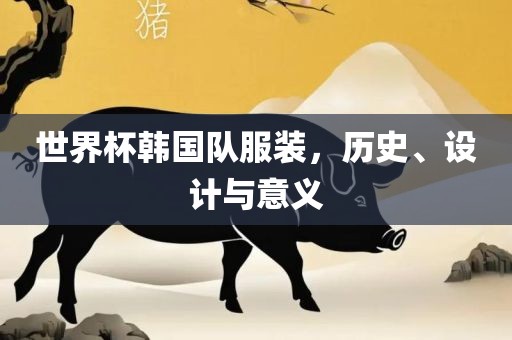 世界杯韩国队服装，历史、设眉山市正发家政服务有限公司计与意义