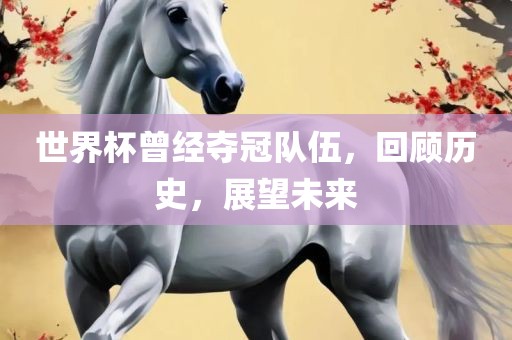 世界杯曾经夺冠队伍，回顾历史，展望未来