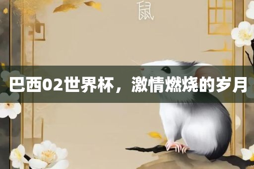 巴西02世界杯，激情燃烧的岁月