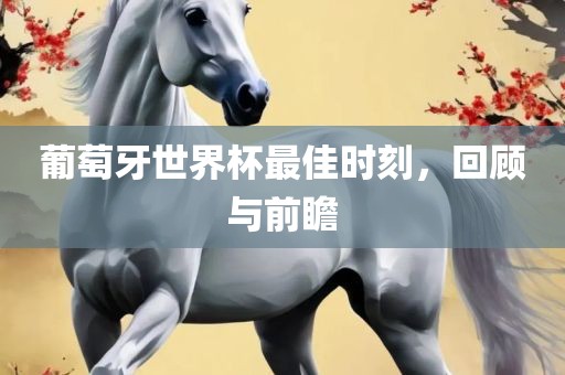葡萄牙世界杯最佳时刻，回顾与前瞻眉山市正发家政服务有限公司