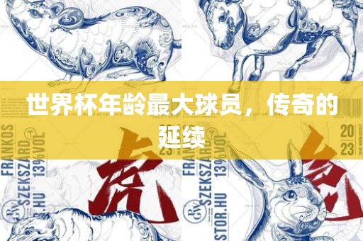 世界杯年龄最大球员，传眉山市正发家政服务有限公司奇的延续
