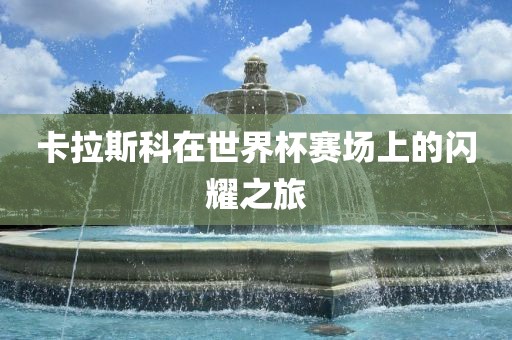 卡拉斯科在世界杯赛场上的闪耀眉山市正发家政服务有限公司之旅