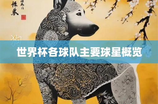 世界杯各球队主要球星概览眉山市正发家政服务有限公司