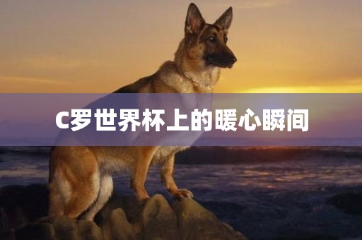 C罗世界杯上的暖心瞬间眉山市正发家政服务有限公司