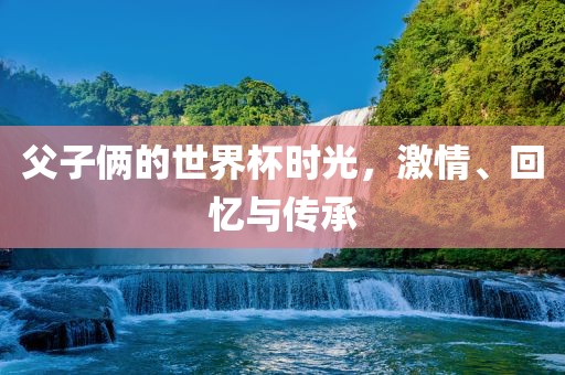 父子俩的世界杯时光，激情、回忆与传承眉山市正发家政服务有限公司