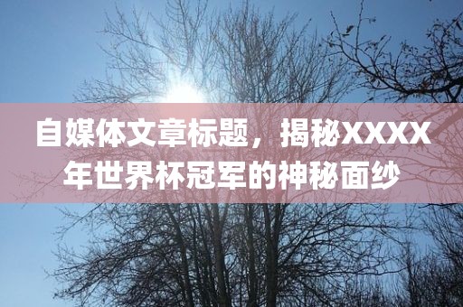 自媒体文章标题，揭秘XXXX年世界杯冠军的神秘面纱