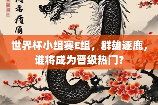 世界杯小组赛E组，群雄逐鹿，谁将成为晋级热门？眉山市正发家政服务有限公司