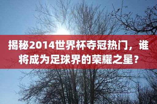 揭秘2014世界杯夺冠热门，谁将成为足球界的荣耀之星？眉山市正发家政服务有限公司