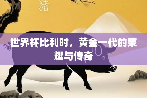 世界杯比利时，黄金一代的荣耀与传奇