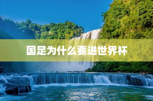 国足为什么要进世界杯