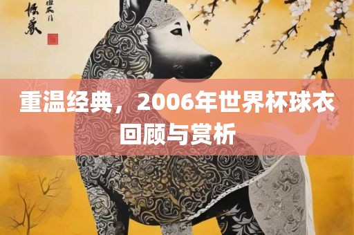 重温经典，2006年世界杯球衣回顾与赏析眉山市正发家政服务有限公司