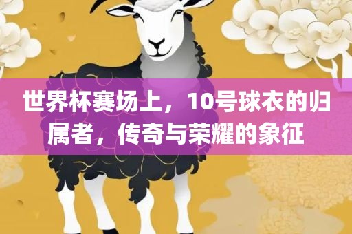 世界杯赛场上，10号球衣的归属者，传奇与荣耀的象征眉山市正发家政服务有限公司