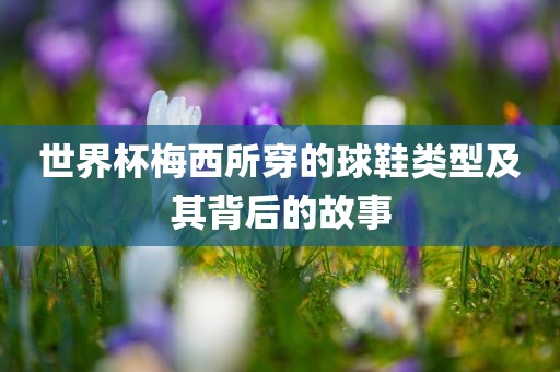 世界杯梅西所穿的球鞋类型及其背后的故事眉山市正发家政服务有限公司