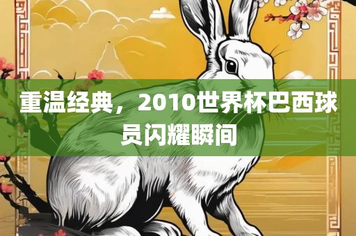 重温经典，2010世界杯巴西球员闪耀瞬间眉山市正发家政服务有限公司