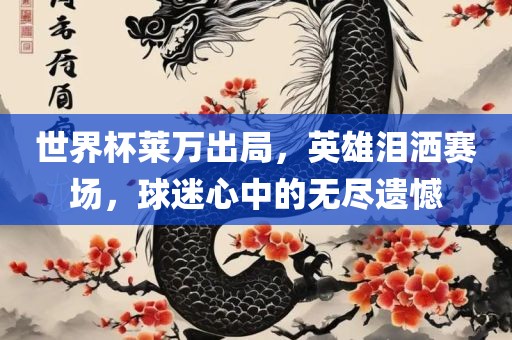 世界杯莱万出局，英雄泪洒赛场，球迷心中的无尽遗憾眉山市正发家政服务有限公司