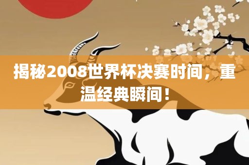 揭秘2008世界杯决赛时间，重温经典瞬间！眉山市正发家政服务有限公司