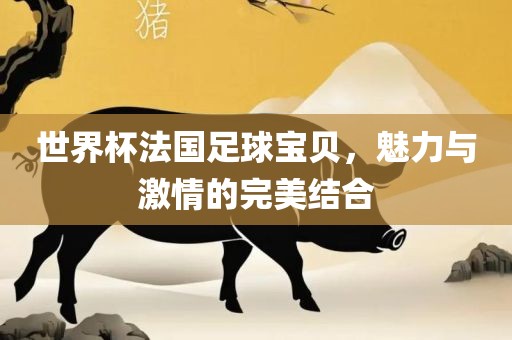 世界杯法国足球宝贝，魅力与激情的完美结合眉山市正发家政服务有限公司