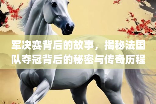军决赛背后的故事，揭秘法国队夺冠背后的秘密与传奇历程眉山市正发家政服务有限公司