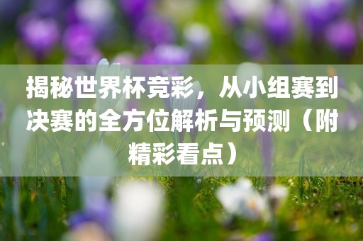 揭秘世界杯竞彩，从小组赛到决赛的全方位解析与预测（附精彩看点）眉山市正发家政服务有限公司
