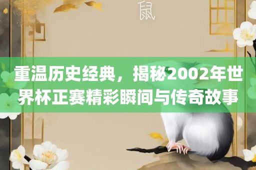 重温历史经典，揭秘2002年世界杯正赛精彩瞬间与传奇故事
