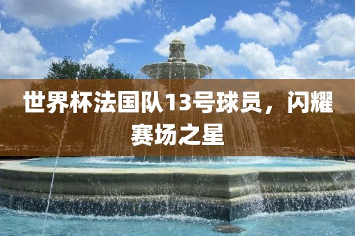 世界杯法国队13号球员，闪眉山市正发家政服务有限公司耀赛场之星
