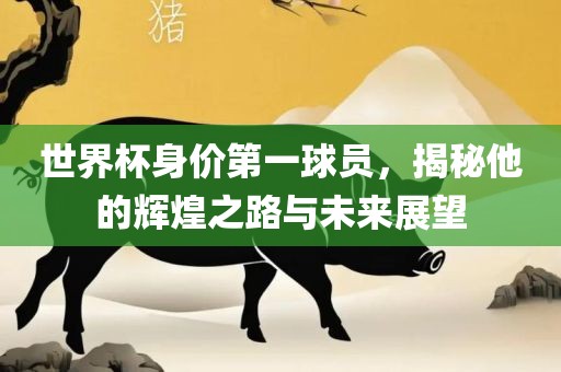 世界杯身价第一球员，揭秘他的辉煌之路与未来展望眉山市正发家政服务有限公司