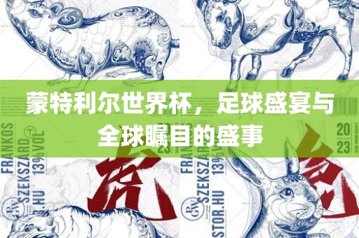 蒙特利尔世界杯，足球盛宴与全球瞩目的盛事