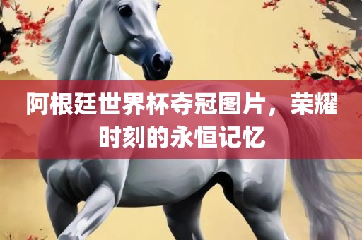 阿根廷世界杯夺冠图片，荣耀时刻的永恒记忆