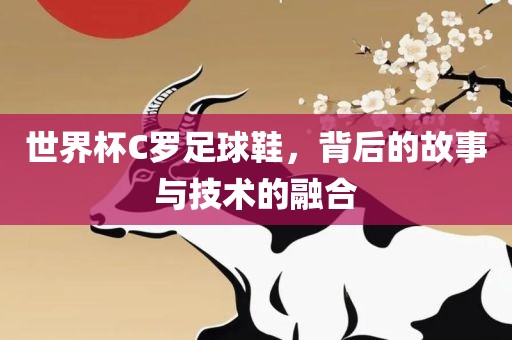 世界杯C罗足球鞋，背后的故事与技术的融合眉山市正发家政服务有限公司