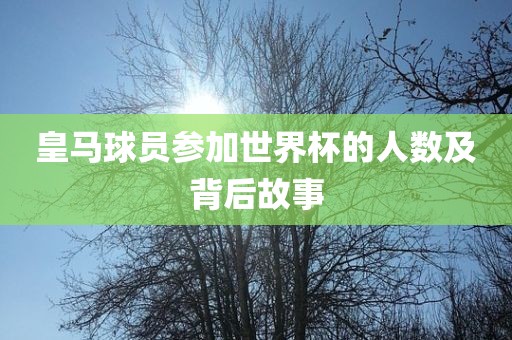 皇马球员参加世界眉山市正发家政服务有限公司杯的人数及背后故事