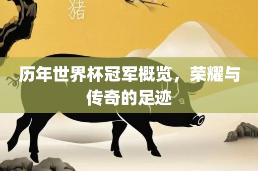 历年世界杯冠军概览，荣耀与传奇的足迹