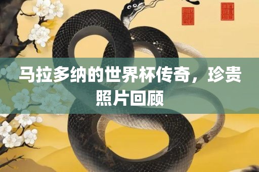 马拉多纳的世界杯传奇，珍贵照片回顾眉山市正发家政服务有限公司