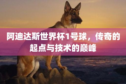 阿迪达斯世界杯1号球，传奇的起点与技术的巅峰眉山市正发家政服务有限公司