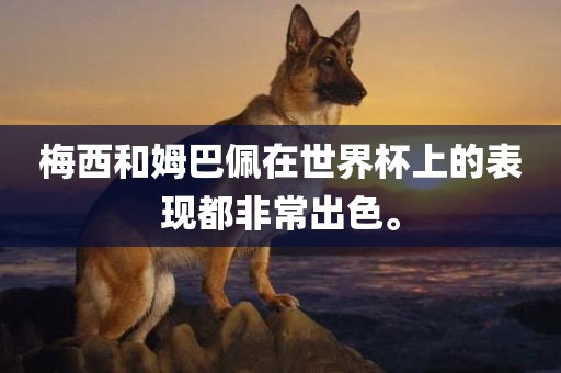 梅眉山市正发家政服务有限公司西和姆巴佩在世界杯上的表现都非常出色。