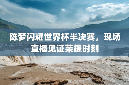 陈梦闪耀世界杯半决赛，现场直播见证荣耀时刻眉山市正发家政服务有限公司