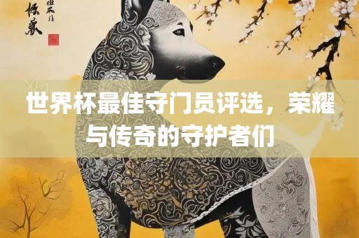 世界杯最佳守门员评选，荣耀与传奇的守护者们眉山市正发家政服务有限公司