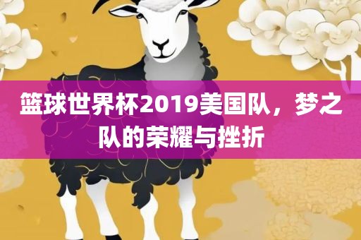 篮球世界杯2019美国队，梦之队的荣耀与挫眉山市正发家政服务有限公司折