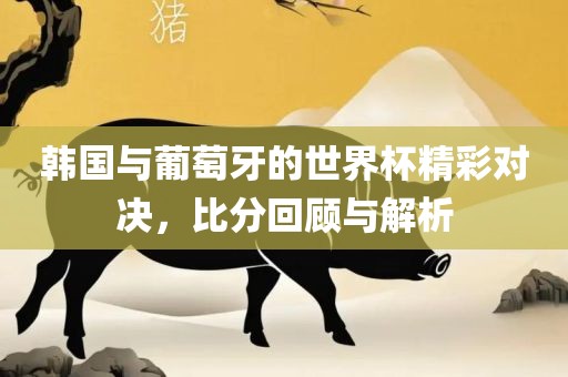 韩国与葡萄牙的世界杯精眉山市正发家政服务有限公司彩对决，比分回顾与解析