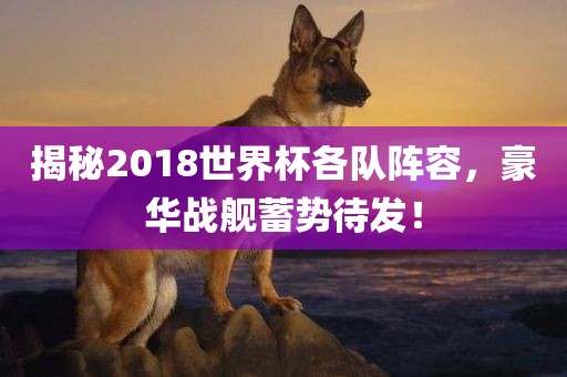 揭秘2018世界杯各队阵容，豪华战舰蓄势待发！眉山市正发家政服务有限公司