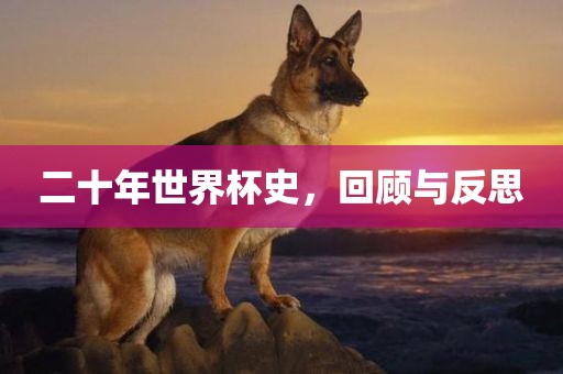 二十年世界杯史，回顾与反思